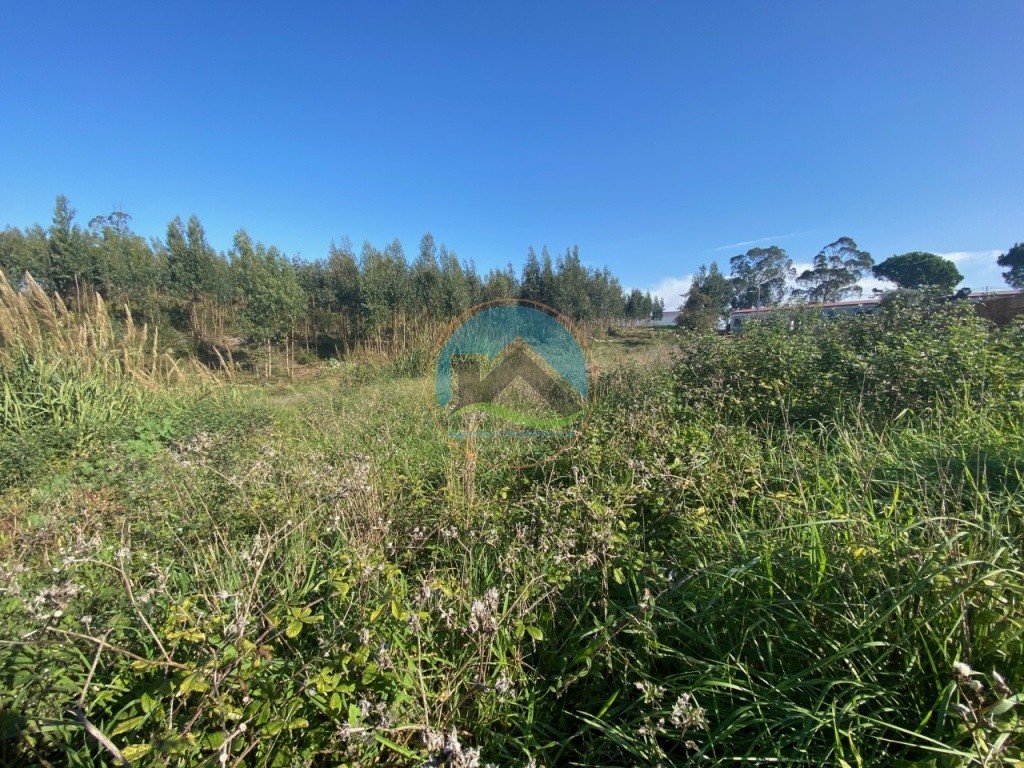 Terreno com 3.100 m2 - Vidais, Caldas da Rainha — Foto 4