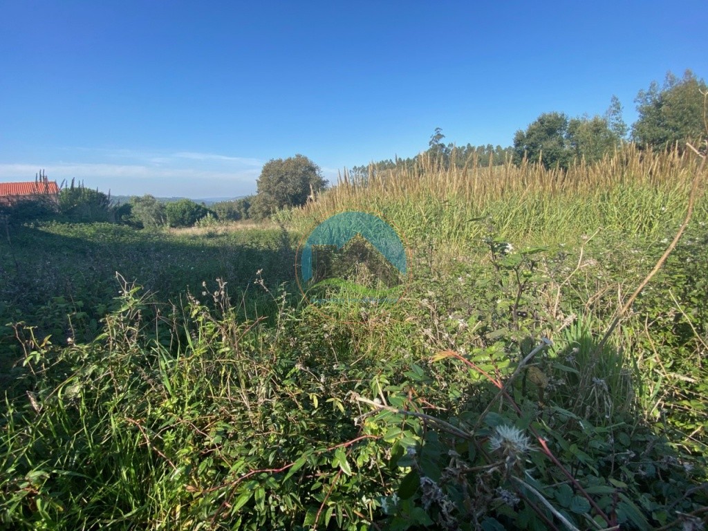 Terreno com 3.100 m2 - Vidais, Caldas da Rainha — Foto 2