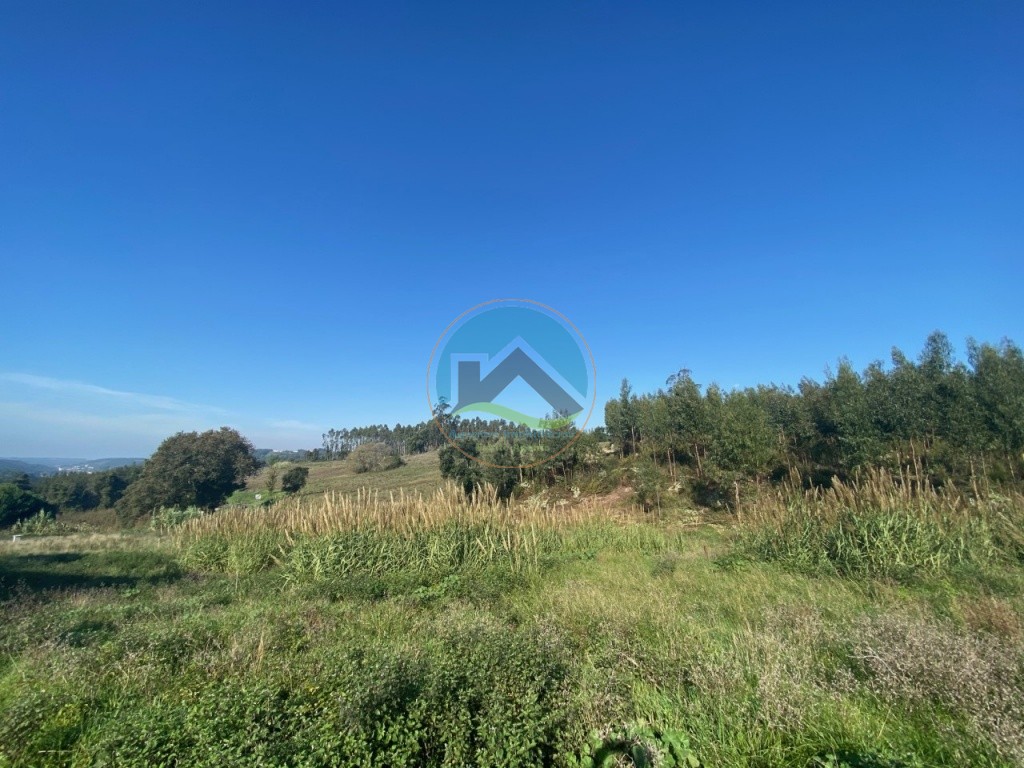 Terreno com 3.100 m2 - Vidais, Caldas da Rainha — Foto 3