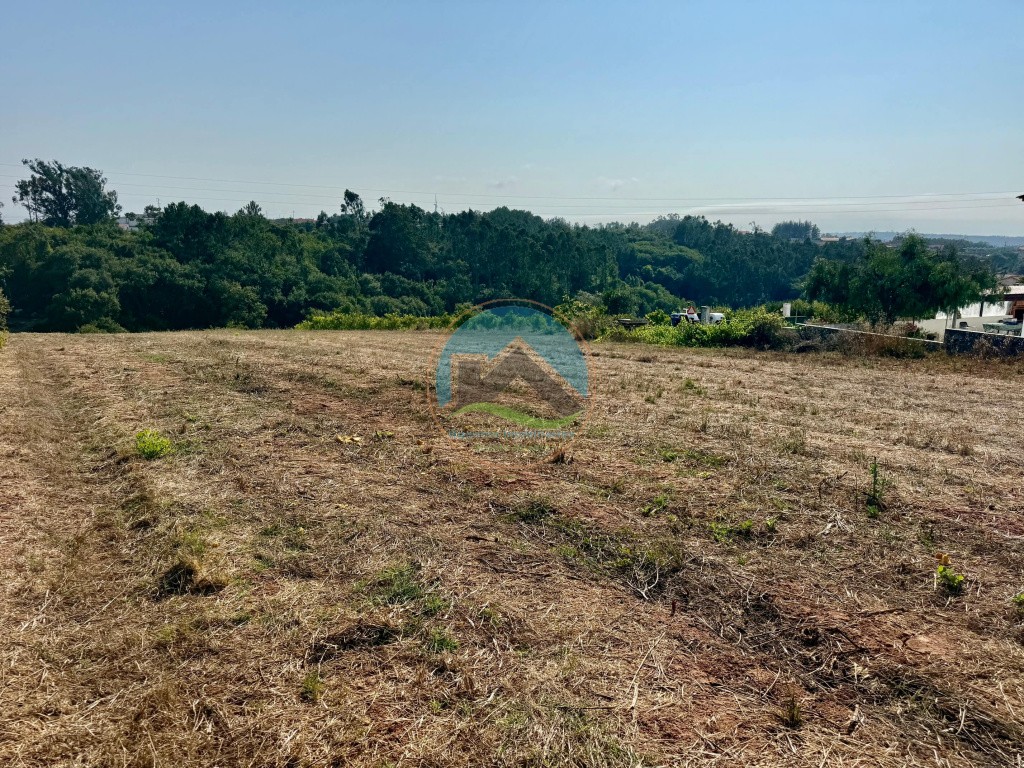 Terreno para construção - Cela Nova, Alcobaça — Foto 5