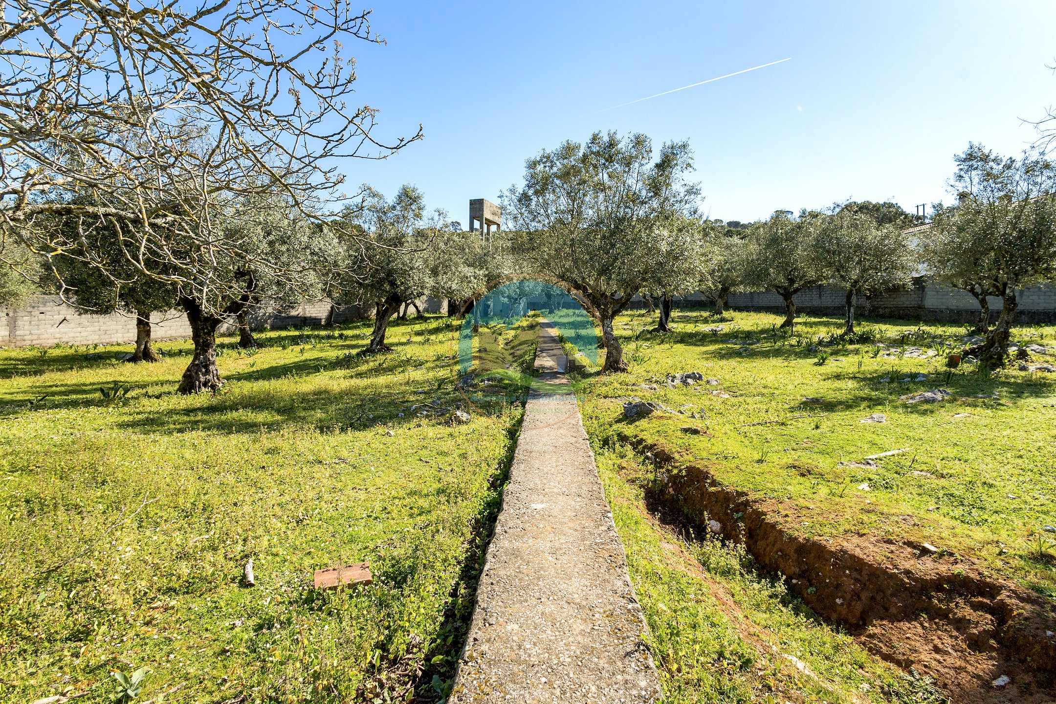 Terreno para construção em Minde, Alcanena