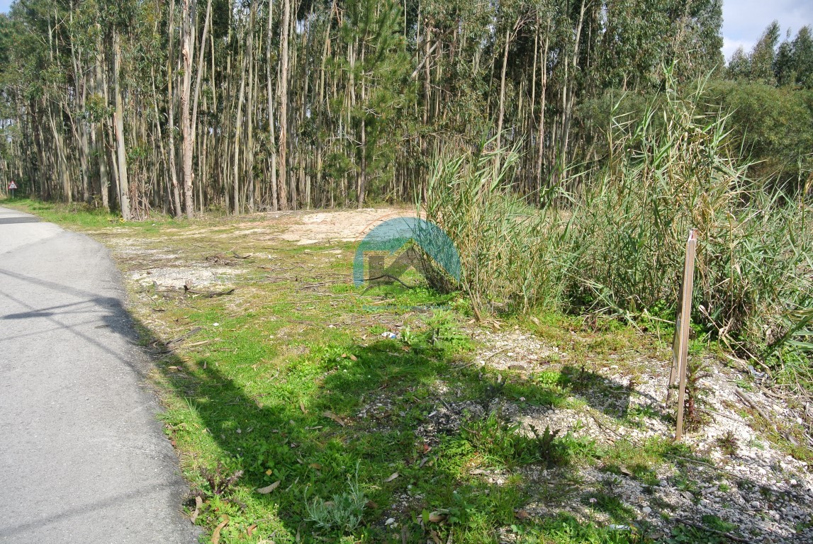 Terreno para construção no Alto Nobre, Nadadouro — Foto 3