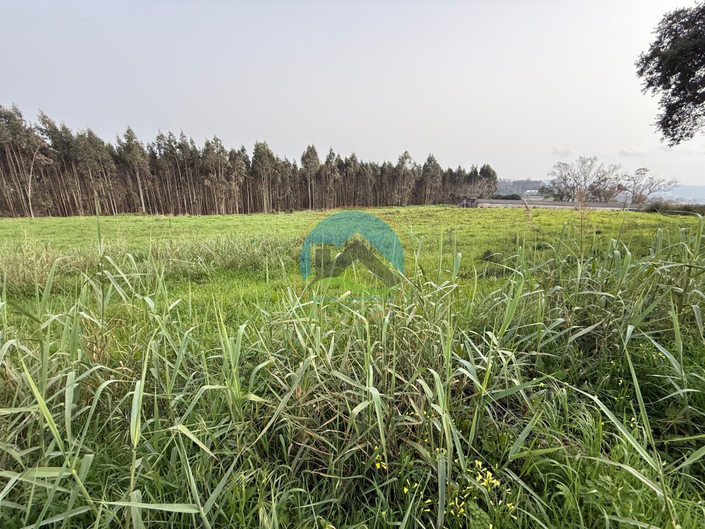 Terreno urbano - nos arredores da cidade de Caldas da Rainha — Foto 4