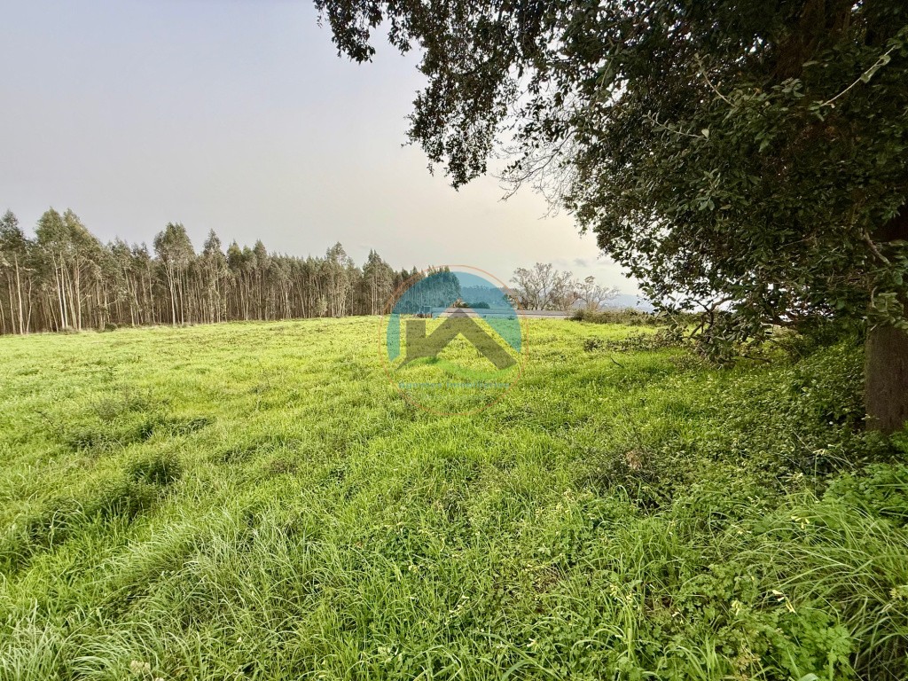 Terreno urbano - nos arredores da cidade de Caldas da Rainha