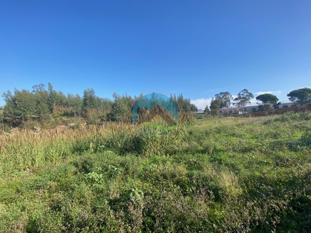 Terreno com 3.100 m2 - Vidais, Caldas da Rainha — Foto 5