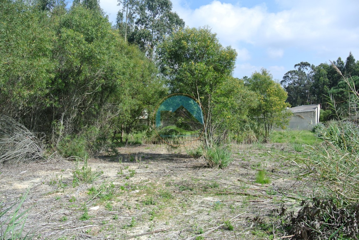 Terreno para construção no Alto Nobre, Nadadouro — Foto 8